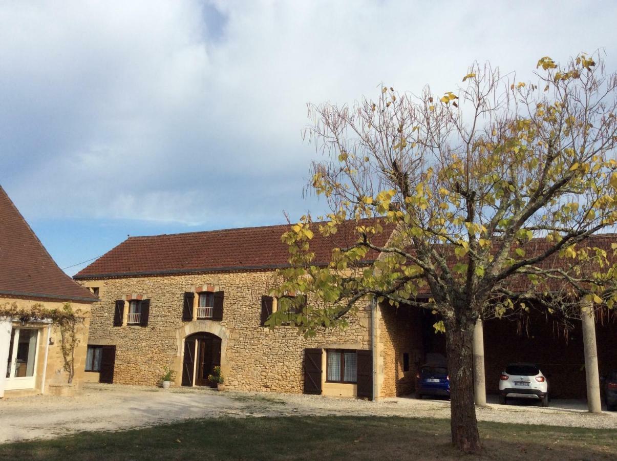 Вілла Domaine De Manilau Le Buisson-de-Cadouin Екстер'єр фото